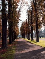 B-Herbststimmung 074.jpg